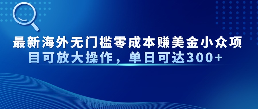 最新海外无门槛美金小众项目可放大操作，单日可达300+-天天资源网