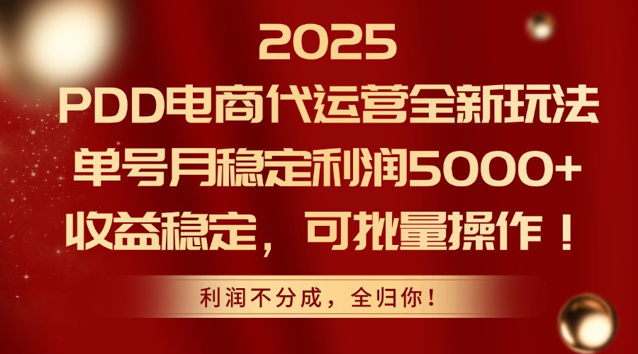 2025 PDD电商代运营全新玩法，单号月稳定利润5000+，收益稳定，可批量操作！-天天资源网
