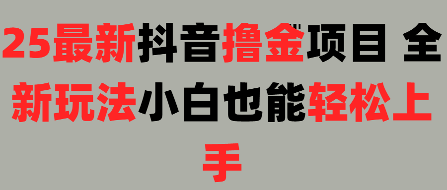 25最新抖音直播撸金项目，小白也能轻松上手！-天天资源网