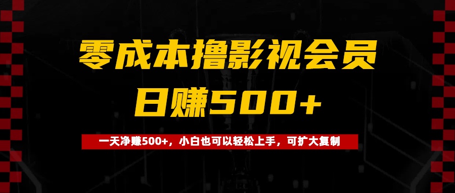 0成本撸影视会员，一天净赚500+，小白也可以轻松上手，可扩大复制-天天资源网