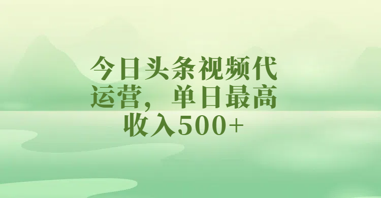 今日头条视频代运营，单日最高收入500+-天天资源网